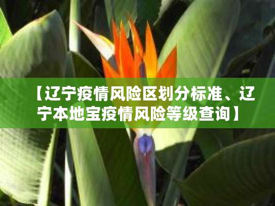 疫情防控二类地区啥意思？划分标准和一类地区有何不同？