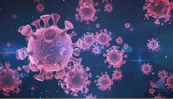 新冠疫情下，社交依赖型行业与虚拟可完成型行业受影响差异