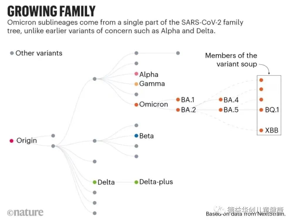 疫情放开后如何应对新冠？奥密克戎感染症状与处理