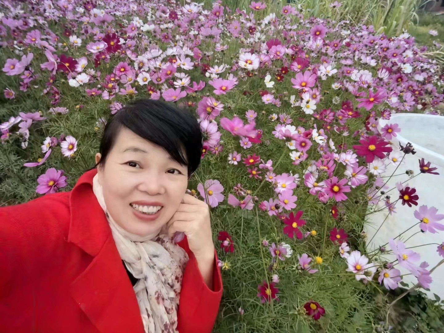 回忆抗阳日子！后疫情时代大家屯药等病，我却觉得荒唐